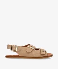 Mujer pabloochoa.shoes Sandalias VIVANT SEMILLA - R en serraje taupe