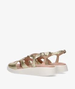 Mujer Wonders Sandalias C-6550 en platino