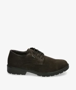 Hombre Igi&Co Zapatos casual Igi&Co 6604422 en serraje marrón