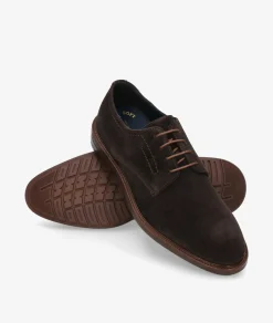 Hombre Traveris Zapatos de vestir LOR31 - 1181 en serraje marrón
